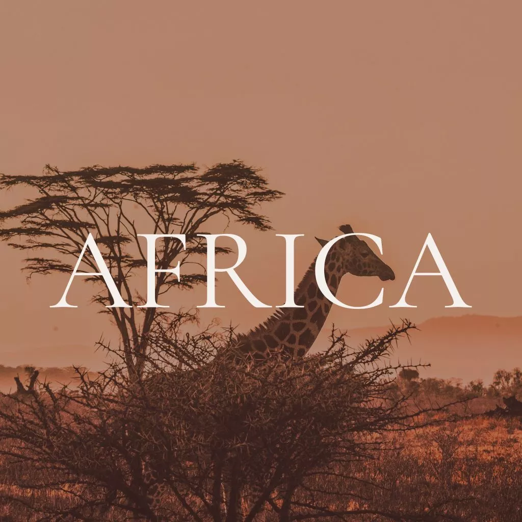AFRICA